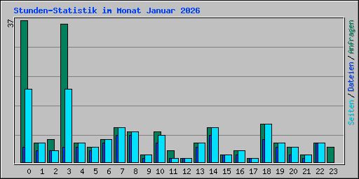 Stunden-Statistik im Monat Januar 2026