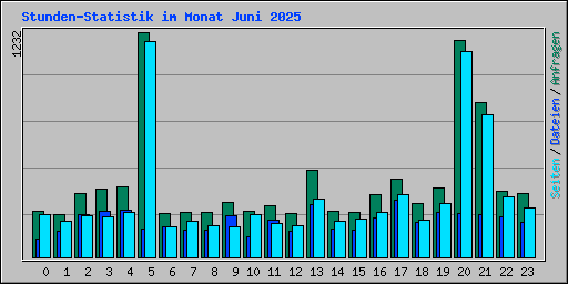 Stunden-Statistik im Monat Juni 2025