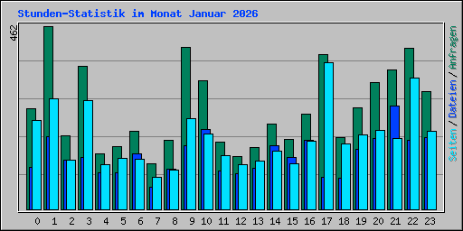 Stunden-Statistik im Monat Januar 2026