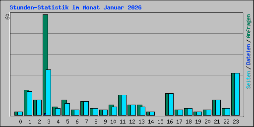 Stunden-Statistik im Monat Januar 2026