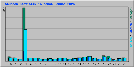 Stunden-Statistik im Monat Januar 2026