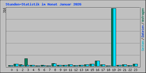 Stunden-Statistik im Monat Januar 2026
